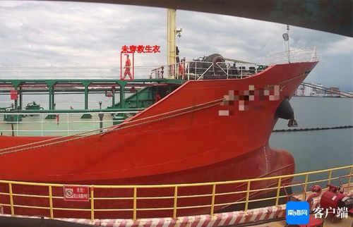 智慧賦能新跨越 海南首個液貨碼頭船岸智能監管系統在洋浦正式上線